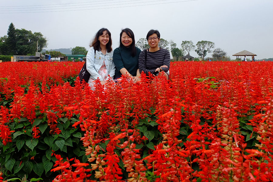 Zhongshe Flower Farm